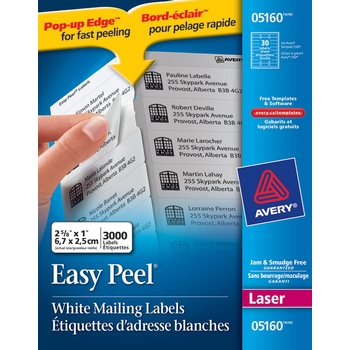 Avery® Labels : white