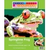 Mosaïque autocollantes StickTogether™ - Grenouille