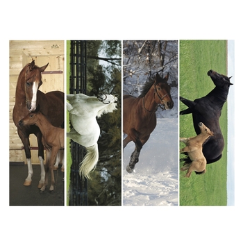 Bookmarks - Horses